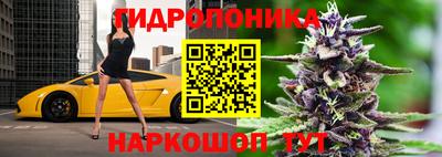 шишки Татарск