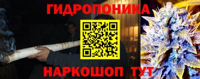 метадон Заводоуковск