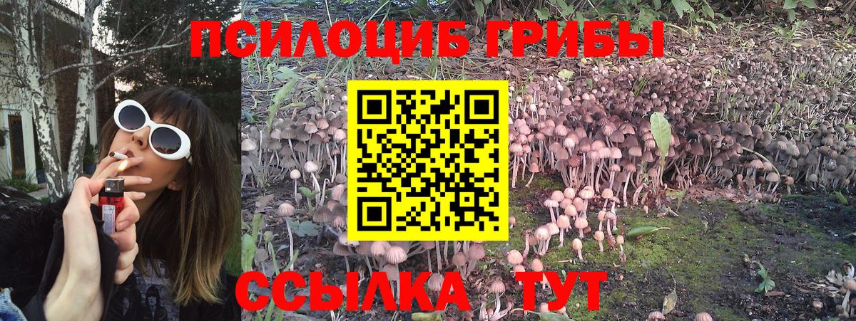 Москва  Псилоцибиновые грибы прущие грибы  магазин продажи   Вход с VPN  Псилоцибиновые грибы MAGIC MUSHROOMS 